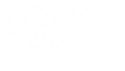 ceo-signature
